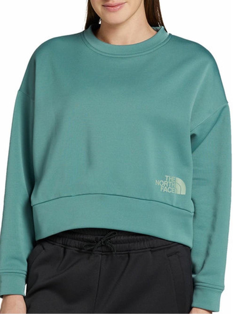 NWT The North Face Women's Horizon Performance Fleece Crew Sweatshirt Size L